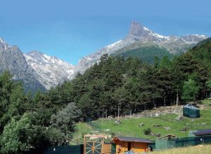 Il Parco Faunistico Chevrere Mont Avic