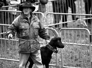 Finale regionale bataille des chevres a Perloz - Ph Romano Bosonin