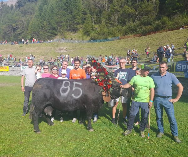 Batailles de reines - Michel Squinabol con la sua famiglia e Alouette, la reina di prima categoria di Valgrisenche