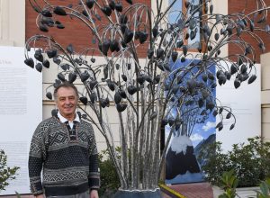 AlberoCuoriCAS phPaoloRey