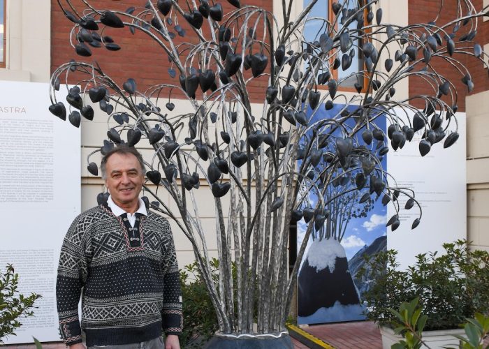 AlberoCuoriCAS phPaoloRey