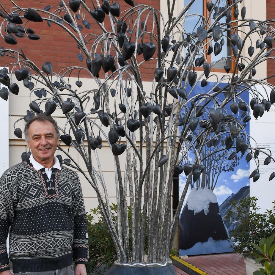 AlberoCuoriCAS phPaoloRey