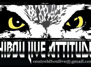 Il Centro Hibou di Châtillon