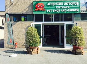 Acquario Octopus