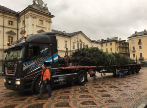 L'abete arrivato l'anno scorso in piazza Chanoux