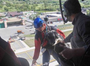 Lucio Trucco e il suo cane Zeus