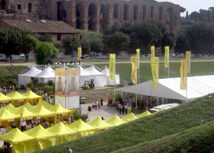 17359203_1903129063257510_547239527942620998_o