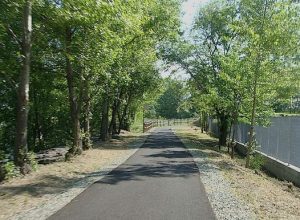 Pista pedonabile
