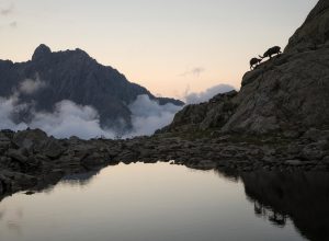 foto Sospesi nel silenzio Fabrizio Gottardi