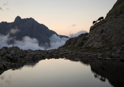 foto Sospesi nel silenzio Fabrizio Gottardi