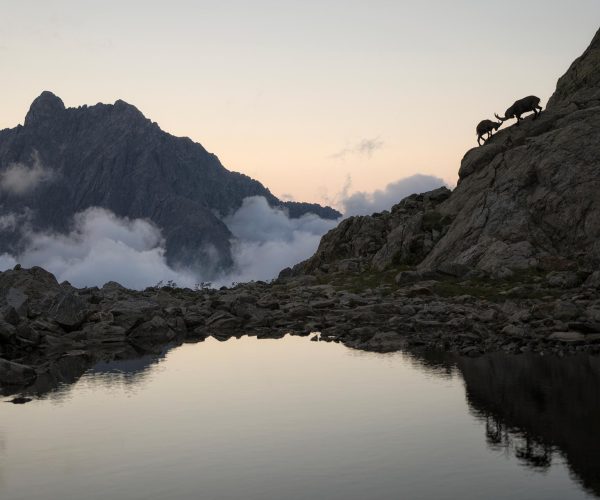 foto Sospesi nel silenzio Fabrizio Gottardi