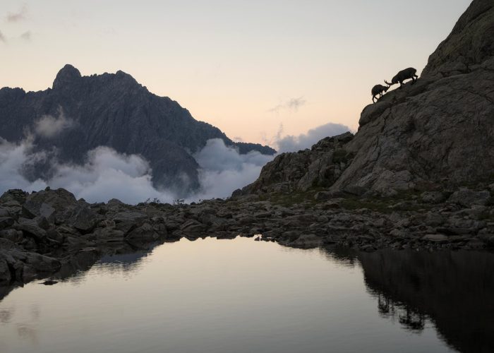 foto Sospesi nel silenzio Fabrizio Gottardi