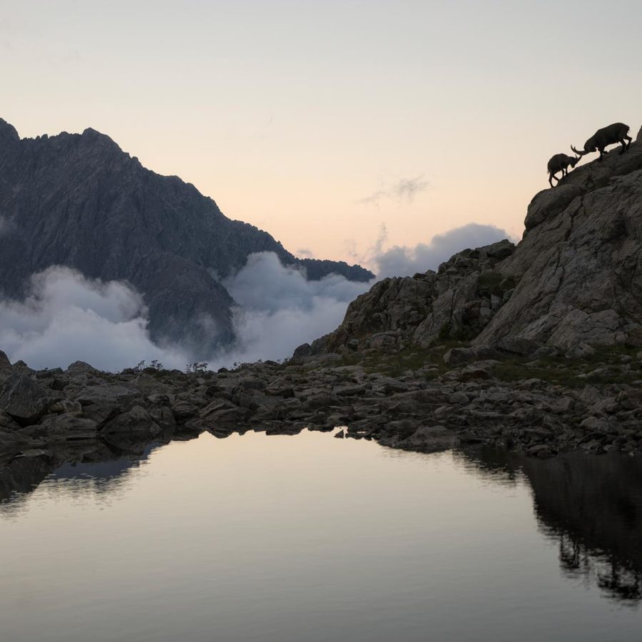 foto Sospesi nel silenzio Fabrizio Gottardi