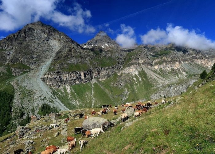 a Vallone di Cime bianche Ayas (AO) fonte portale I Luoghi del Cuore copia