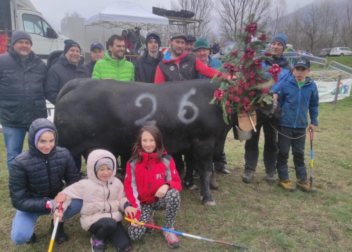 Mila di Gildo Bonin, vincitrice dell’Espace Mont Blanc del 2017 a Chamonix: al secondo tentativo si è qualificata per la Regionale vincendo l’eliminatoria di Sarre