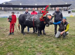Bataille di Angelo Martignon, reina regionale in prima categoria nel 2022 e prima ancora reina del concorso del Deuxième Veau: oggi alla Croix-Noire ha inaugurato l’albo d’oro del concorso Communautés de Montagne Bataille di Angelo Martignon, reina regionale in prima categoria nel 2022 e prima ancora reina del concorso del Deuxième Veau: oggi alla Croix-Noire ha inaugurato l’albo d’oro del concorso Communautés de Montagne