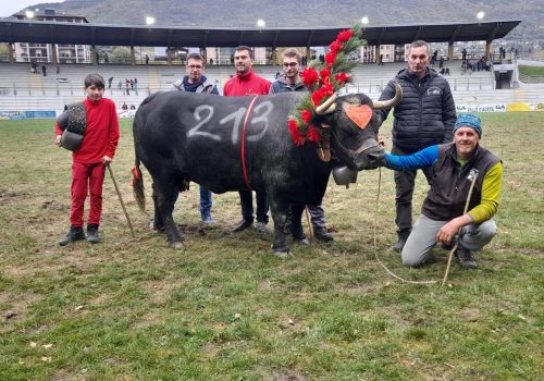 Bataille di Angelo Martignon, reina regionale in prima categoria nel 2022 e prima ancora reina del concorso del Deuxième Veau: oggi alla Croix-Noire ha inaugurato l’albo d’oro del concorso Communautés de Montagne Bataille di Angelo Martignon, reina regionale in prima categoria nel 2022 e prima ancora reina del concorso del Deuxième Veau: oggi alla Croix-Noire ha inaugurato l’albo d’oro del concorso Communautés de Montagne