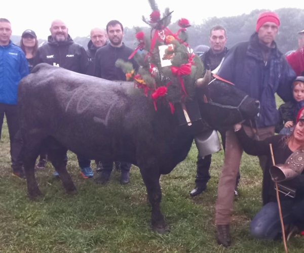 Dominio assoluto per Furie di Massimiliano Garin nel concorso del secondo peso