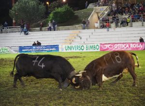 Batailles des Reines