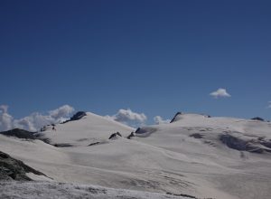 Tête Blanche