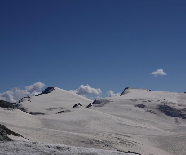 Tête Blanche
