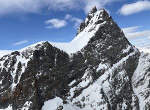 Rimpfischhorn