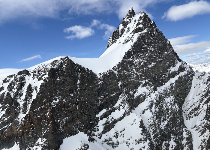 Rimpfischhorn