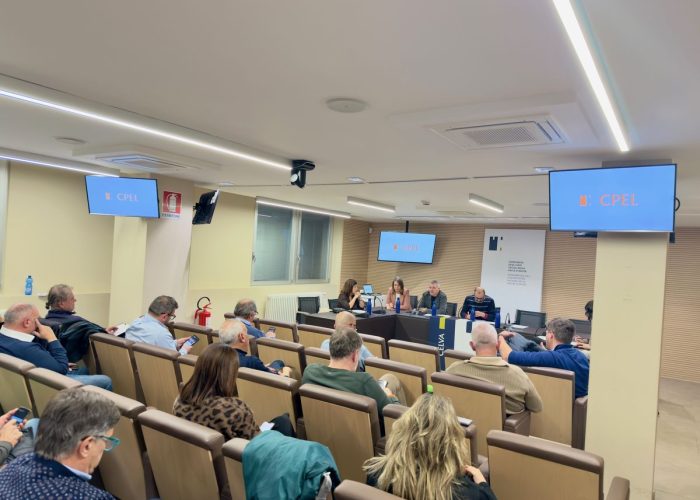 Assemblea del CPEL