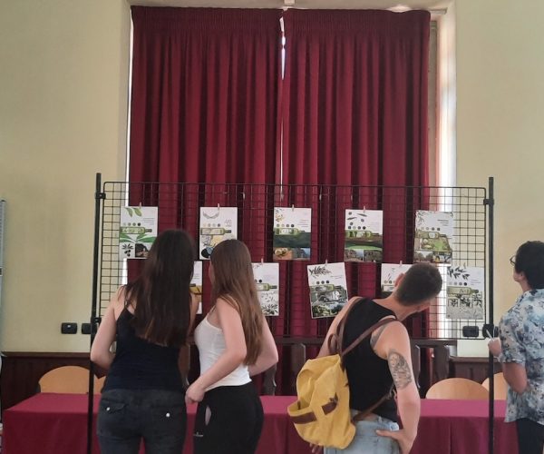 La mostra sulle etichette dell'olio d'oliva realizzate dal liceo artistico a Donnas