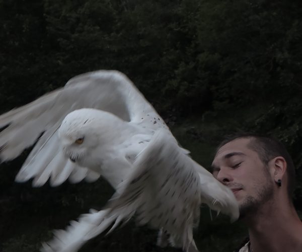 Entre chien et loup Fotografia di Sophie Anne Herin