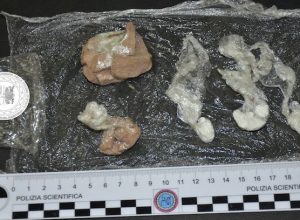 La droga sequestrata