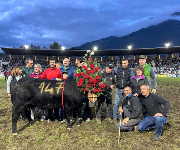 Falchetta di Renzo Rosset è la prima reina della storia a vincere tre titoli consecutivi in terza categoria