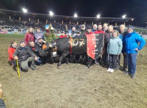 Falchetta ha conquistato il quarto titolo consecutivo in terza categoria