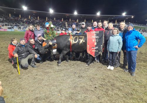 Falchetta ha conquistato il quarto titolo consecutivo in terza categoria