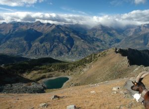 Il lago di Chamolé - Foto LoveVdA