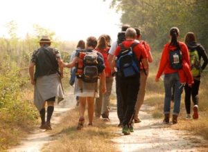 Walk for Parkinson