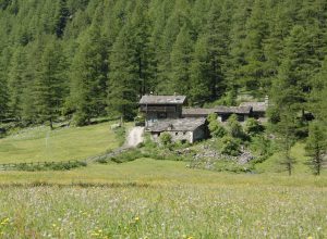 L'azienda agricola e agrituristica di Jeantet prima del 29 giugno