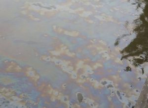 Foto realizzata da Franco Rossi Viñales