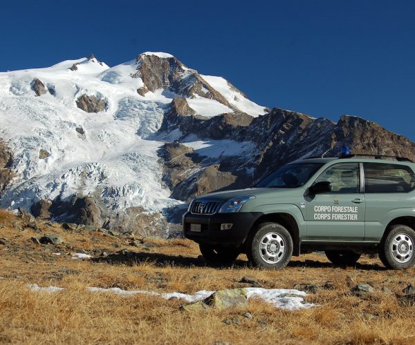 Corpo forestale - forestali