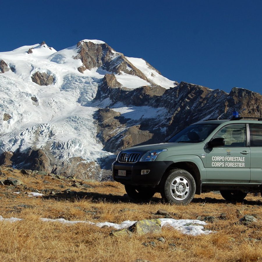 Corpo forestale - forestali