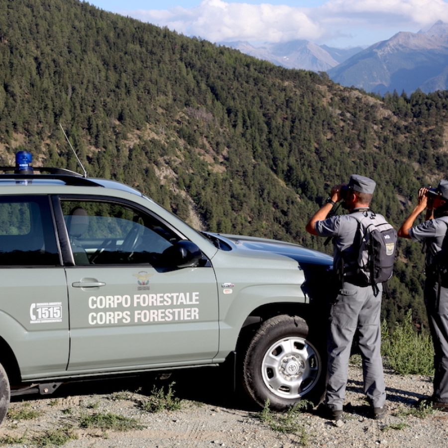 Corpo forestale - forestali