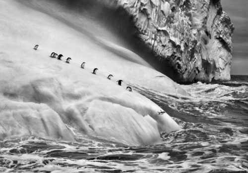 Uno degli scatti di Genesi di Salgado