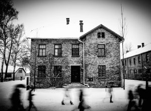 Foto di Evi Garbolino