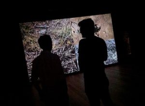 Un momento del Mountain Photo Festival