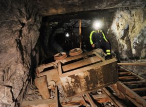 Le ricerche di Alex Bonin