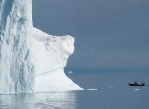 "Groenlandia e altri ghiacci"