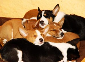 Immagine di repertorio