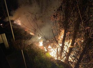 incendio sterpaglie e arbusti
