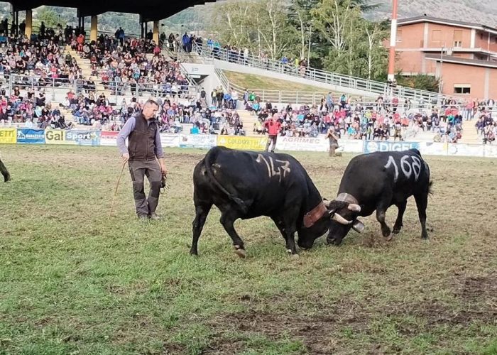 La Finale regionale delle Batailles de reines 2023