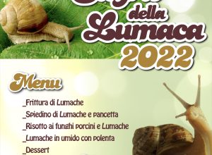 La locandina